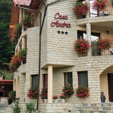 Hotel Casa Andra Slănic-Moldova Zewnętrze zdjęcie