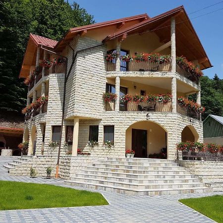 Hotel Casa Andra Slănic-Moldova Zewnętrze zdjęcie