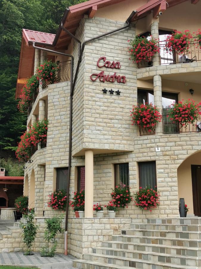 Hotel Casa Andra Slănic-Moldova Zewnętrze zdjęcie