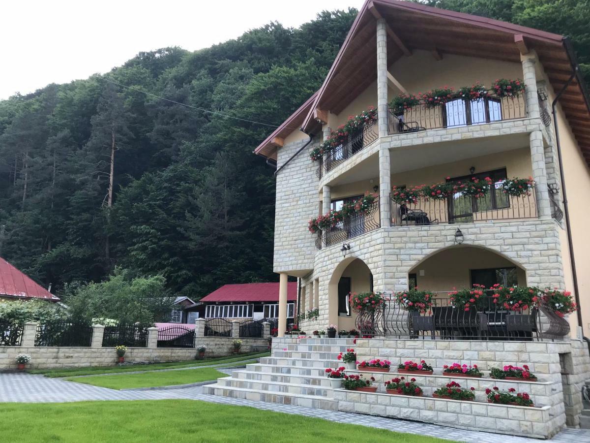 Hotel Casa Andra Slănic-Moldova Zewnętrze zdjęcie