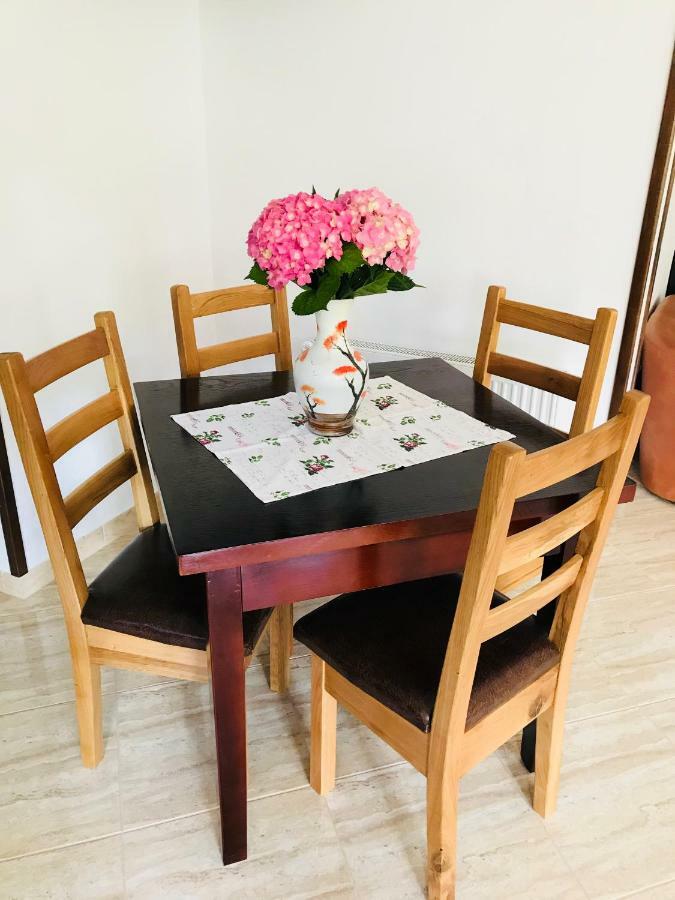 Hotel Casa Andra Slănic-Moldova Zewnętrze zdjęcie