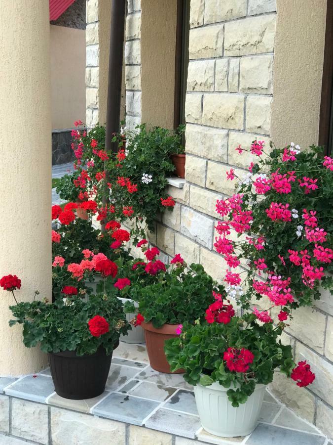 Hotel Casa Andra Slănic-Moldova Zewnętrze zdjęcie