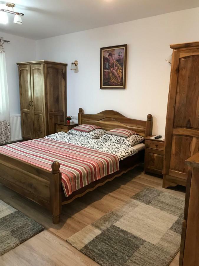 Hotel Casa Andra Slănic-Moldova Zewnętrze zdjęcie